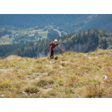photo miniature